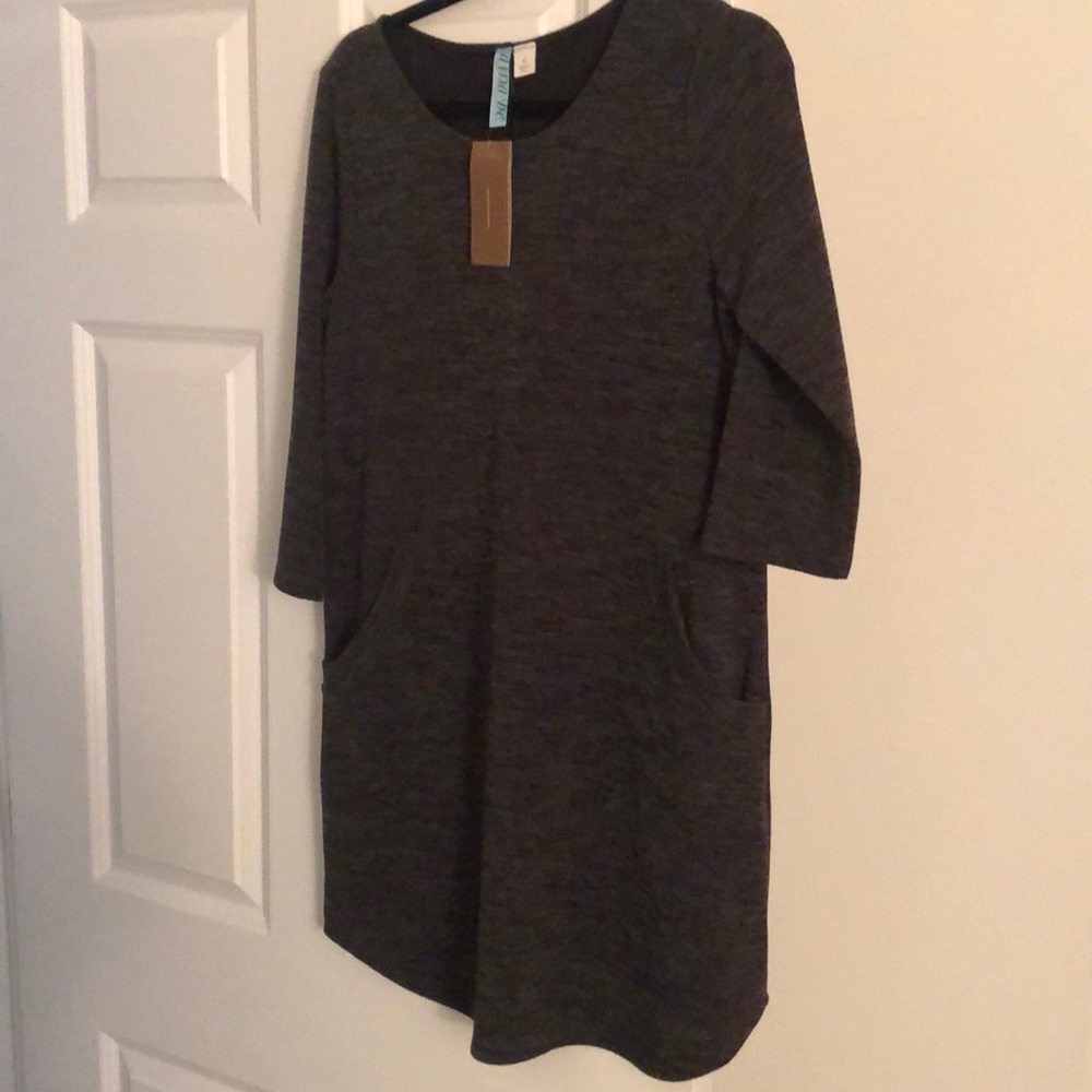 Francesca’s Gray Dress